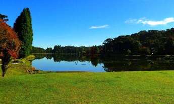 Imagem 6: Terreno no Loteamento Colinas de São Francisco em São Francisco de Paula!