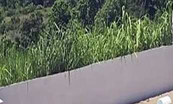 Imagem 6: Saquarema - Itaúna