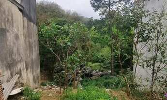 Imagem 4: Terreno a venda no Jardim Marilu - São Paulo - SP