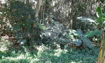 Imagem 7: Terreno à venda em Roseira - SP