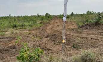 Imagem 4: Fazenda 8 mil hect em tangará da serra MT. Média 250 milhões