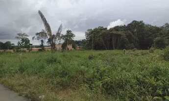 Imagem 7: Vendo Lote após ponte Rio negro/chácaras Janauary 2 - Iranduba - AM