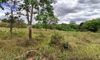 Imagem 7: TERRENO RURAL 5.264 m² - / ANTÔNIO OLINTO - MONTES CLAROS MG