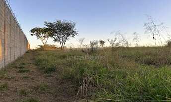 Imagem 3: Schimitt, chácara de 10 481,63m2, plana, ótima localização, sem benfeitoria, próxima da Wa