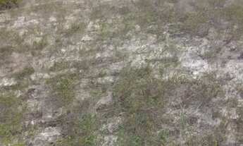 Imagem 4: Terreno para Venda em Entre Rios, Mutuim