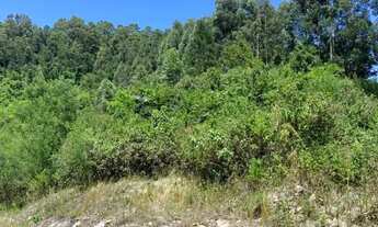 Imagem 2: Sitio - Bairro Linha Ávila