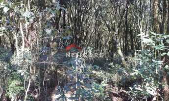 Imagem 6: Lote em Est Bracatinga - Contendas - São Francisco de Paula/RS