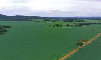 Imagem 5: FAZENDA COM 580HEC COMPLETA, ALTO POTENCIAL!!