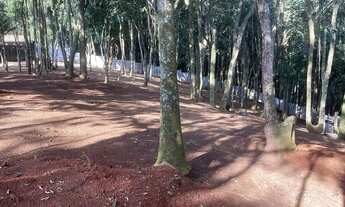 Imagem 2: Terreno à venda, 2514 m² por R$ 900.000,00 - Granja Viana - Cotia/SP