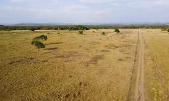 Imagem 6: Fazenda c/ 550he sendo 400he formados, vocação p/ lavoura, Santo Antonio do Leverger-MT