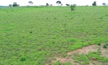 Imagem 2: Fazenda com dupla aptidão 41,5 alqueires, Planta em 21. Campinorte-GO