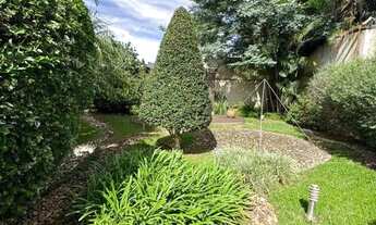 Imagem 2: Estrela - Locação