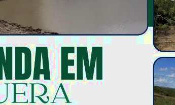 Imagem: FAZENDA EM IBIQUERA - 910 TAREFAS