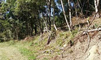 Imagem 4: Terrenao com plato 20 de entrada