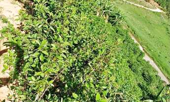 Imagem 4: Vendo sítio em ibatiba