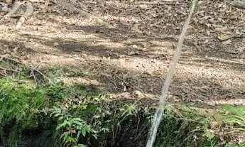 Imagem 5: LINDA CHACARA COM BICA D´AGUA PROXIMA A ANÁPOLIS!