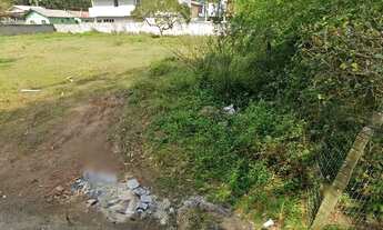 Imagem 4: REF. 175 Lindo Terreno no Bairro Ratones, Florianópolis, Santa Catarina, Brasil
