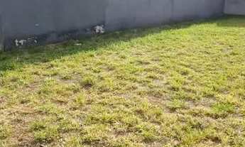 Imagem 2: Setlife 1 Terreno / lote com venda por R$220.000