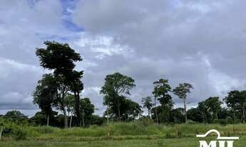 Imagem 3: Fazenda em Mineiros-GO. (208 Alqueires