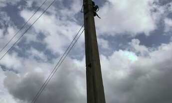 Imagem 4: Sítio 24,7 ha em Unaí/MG - Água Permanente, Casa, Pastos - Aceita Financiamento