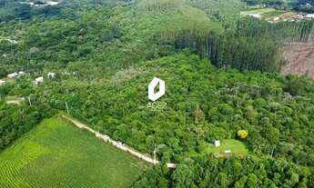 Imagem 7: Terreno Rural com 28.000 m² a 15 Min do Centro de Colombo Oportunidade Única