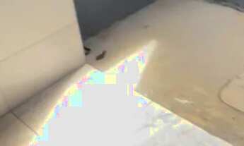 Imagem 7: ALUGO APARTAMENTO NOVO (JARDIM INGÁ