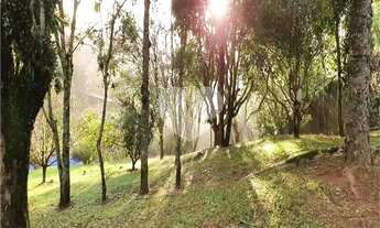 Imagem 5: Sobrado com 5 quartos à venda em Olho D'água - SP