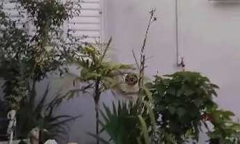 Imagem 5: Casa a venda MARY DOTA