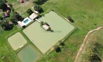 Imagem 6: Fazenda de 159 hectares em Buritis, Minas Gerais