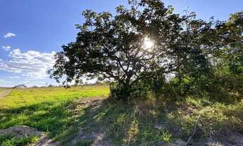 Imagem 6: Chácaras de 20mil mt com Rio passa quatro no fundo!