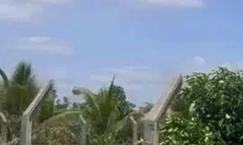 Imagem 4: Vendo ou troco Meia tarefa de terra em Magalhães