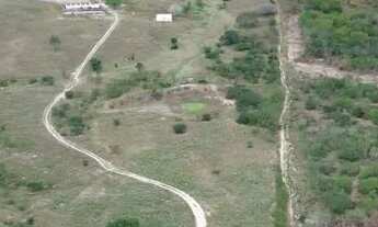 Imagem 5: Fazenda com 300 tarefas em São José da Tapera-AL