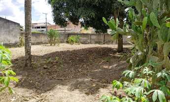 Imagem 3: Vendo chácara no centro de Conceição do Jacuipe