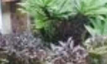 Imagem 2: Aluguel quartos are charmosa do horto