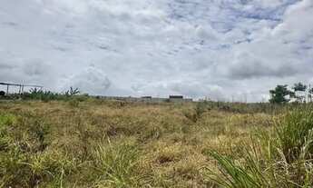 Imagem 2: Terreno chachara