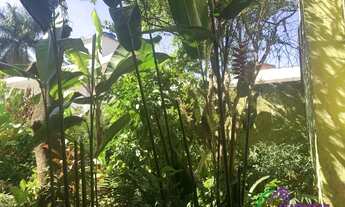 Imagem 7: TERRENO - SUMARÉ - SP