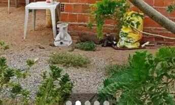 Imagem: Casa a venda na caponga