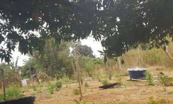 Imagem 3: Chácara 1 hectare - Brazlândia