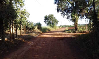 Imagem: Chácara em Ourinhos/SP a 5 minutos do Centro