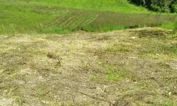 Imagem 6: Terreno para chácara