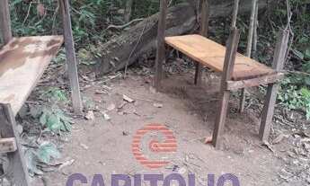 Imagem 3: Terreno em loteamento - Bairro Setor Central em Faina