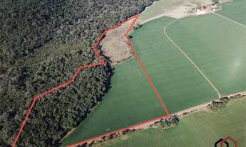 Imagem 2: Área na Bocaina