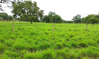 Imagem: 535 alqueires em Gurupi-TO