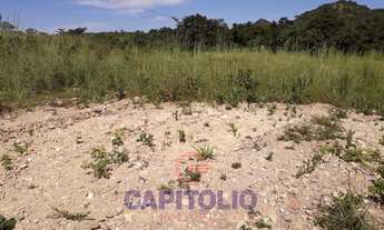 Imagem 4: Terreno em loteamento - Bairro Setor Central em Faina