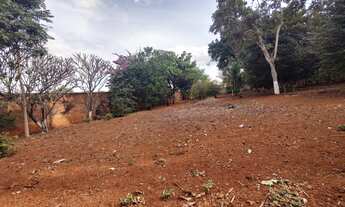 Imagem 3: 5 lotes de 360 mts cada dentro de Goianira URGENTE