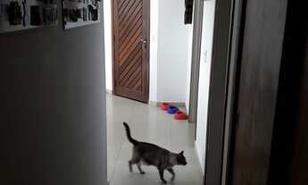 Imagem: Locação Apartamento 2 Dormitórios - 80