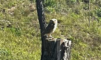 Imagem 3: Lote/Terreno para venda tem 600 metros quadrados em Centro - Mairiporã - SP