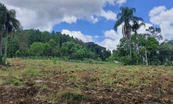 Imagem 2: Sítio na Estrada Linha Araripe em Gramado!