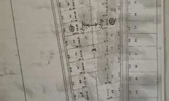 Imagem 4: Terreno com casa mista 2000m² - Aguas Claras/Viamão RS