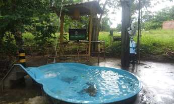 Imagem 6: Alugo Casa estilo sitio no KM 05 da BR 174